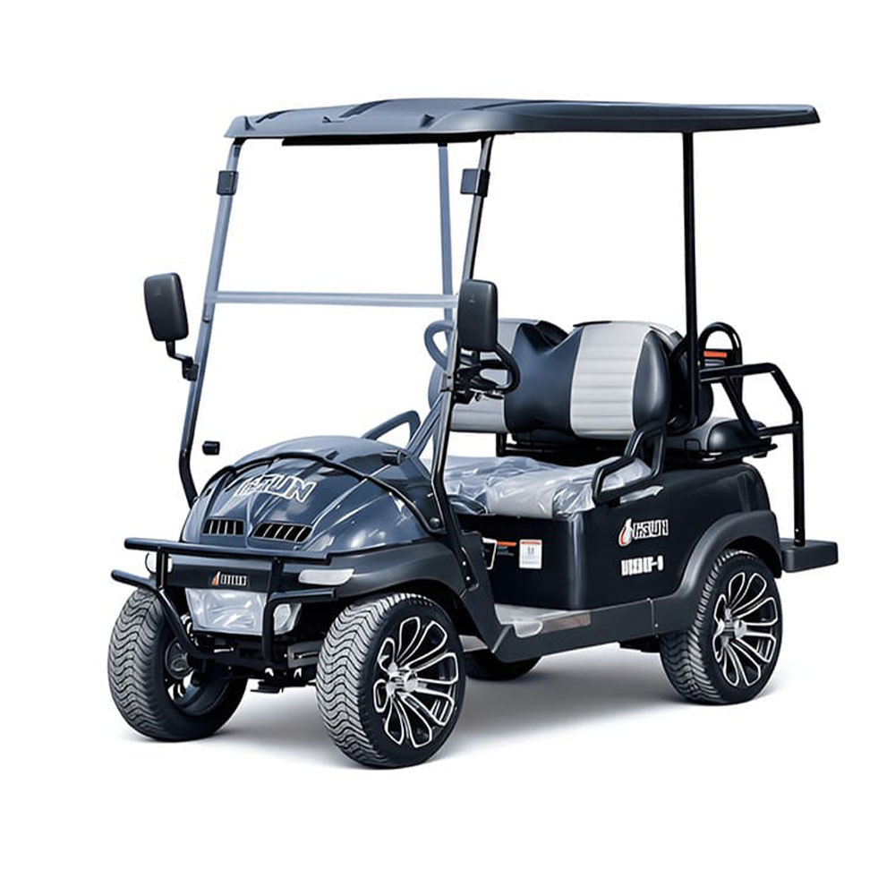 Гольфкар HiSUN HS2DGF-3 (черный)