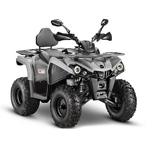 Запчасти для квадроцикла GLADIATOR (Mikilon) F200 (серый)