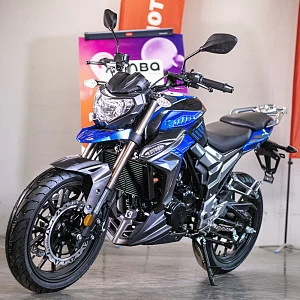 Мотоцикл Regulmoto T-Leopard 300 (Синий, , 100015-1)