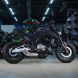 Мотоцикл Regulmoto ALIEN MONSTER 300 (Черный, , 100012-3)