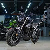 Мотоцикл Regulmoto T-Leopard 300 (Черный, , 100015-3)