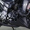 Мотоцикл Regulmoto T-Leopard 300 (Черный, , 100015-3)