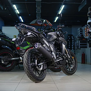 Мотоцикл Regulmoto T-Leopard 300 (Черный, , 100015-3)