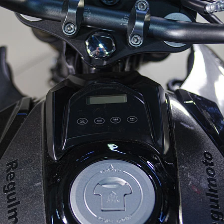 Мотоцикл Regulmoto T-Leopard 300 (Черный, , 100015-3)