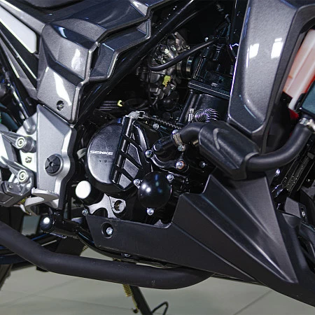 Мотоцикл Regulmoto T-Leopard 300 (Черный, , 100015-3)